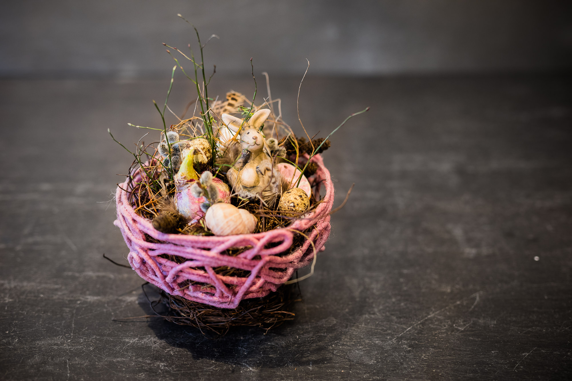 Export x3 5D4 9342 Businessauftrag 2017 Blattform Aarau